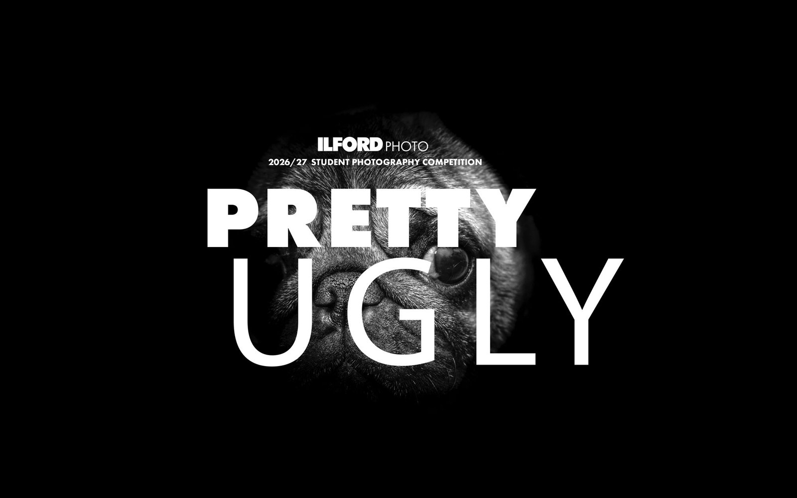 Ilford photo's "pretty ugly" student competition poster with a pug's face in black and white