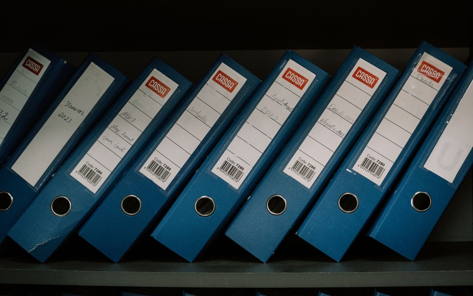 Row of blue lever-arch binders with handwritten labels standing on a shelf